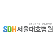 서울대효병원