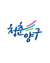 청춘양구